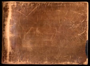 a close-up of a leather surface with Nazca Lines in the background